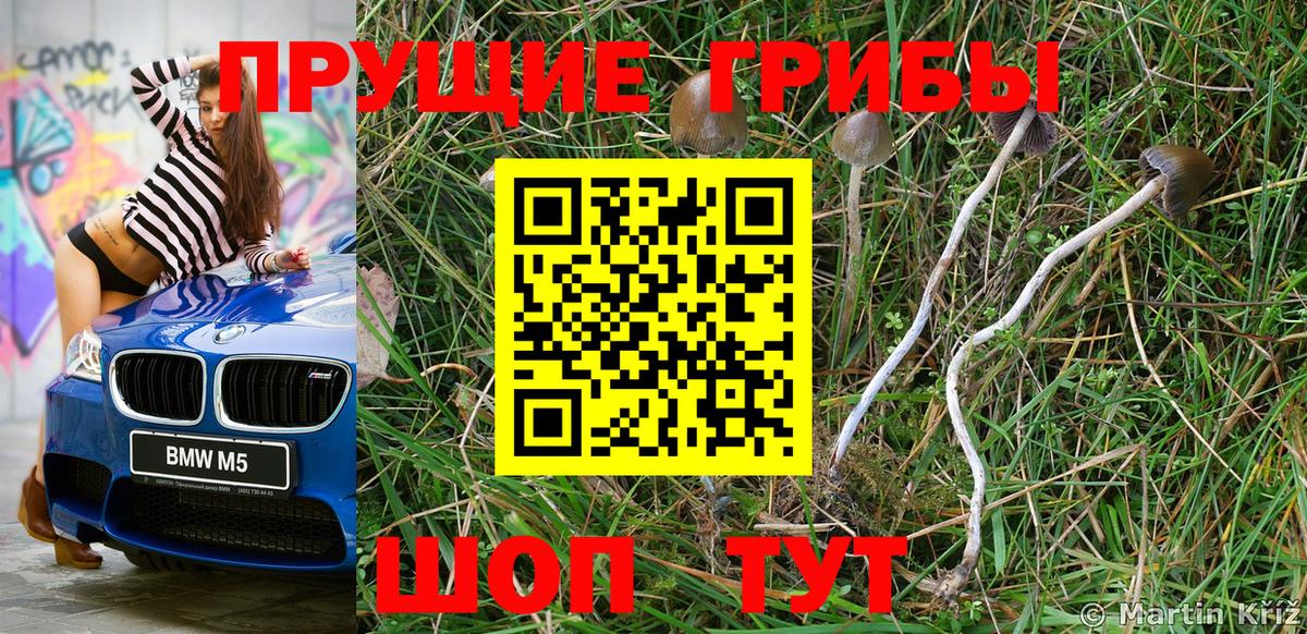 Галлюциногенные грибы Cubensis  Галлюциногенные грибы прущие грибы  Вход с VPN  где купить   Кирово-Чепецк 