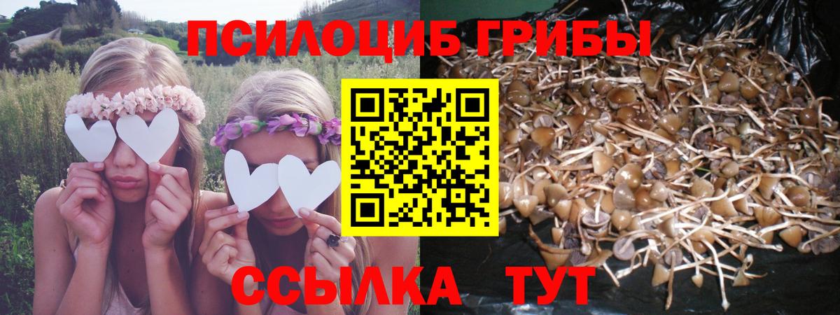 Галлюциногенные грибы мицелий Кирово-Чепецк